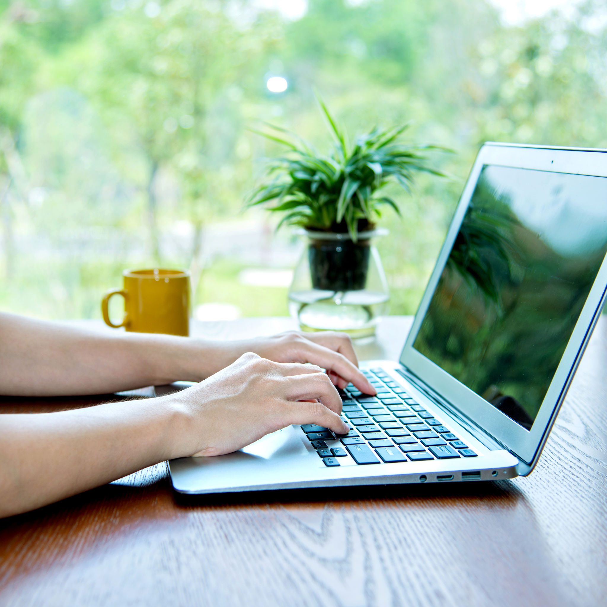 Person typing on laptop near plants.